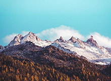 乐鱼娱乐体育：开启全场景娱乐的新纪元