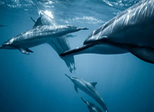 开云体育下载——畅享极速体育体验