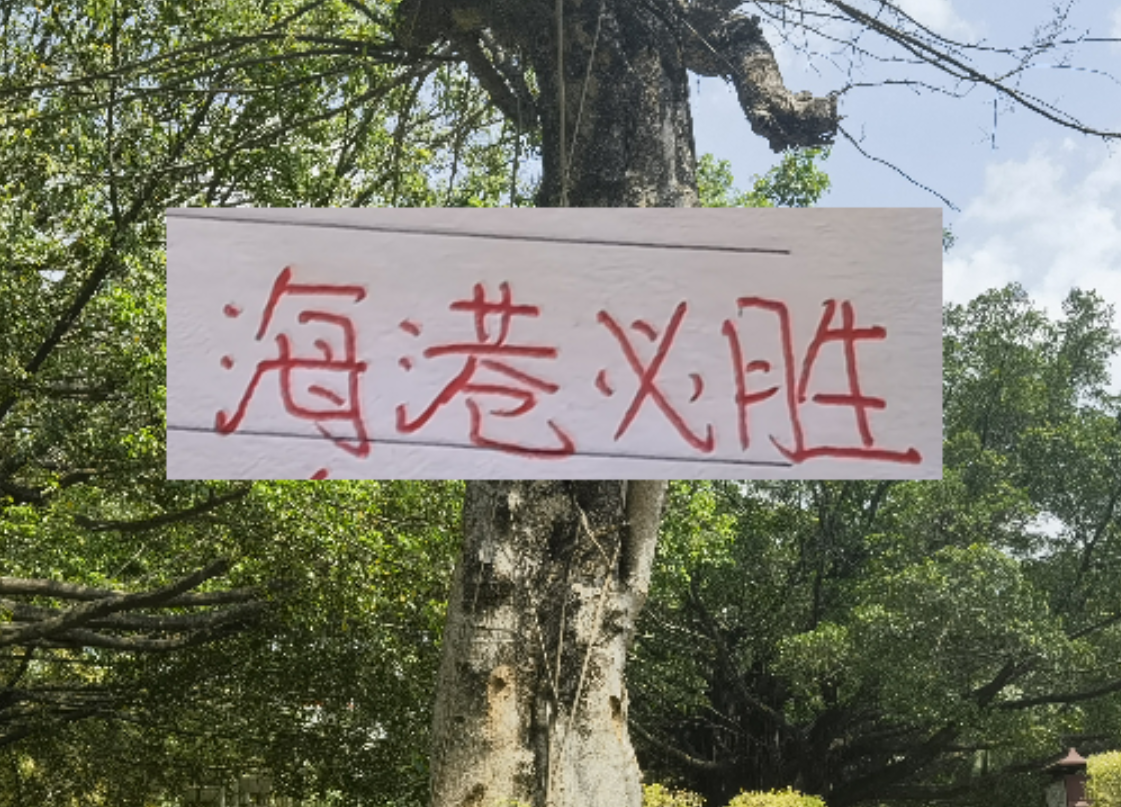 开云体育官方网站-前有奇塔 现有奥斯卡 海港旧将也喜欢度假途径母队